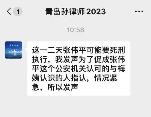 律师爆料梅姨视频是真的吗,真相究竟如何？
