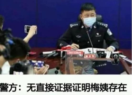 律师爆料梅姨视频是真的吗,真相究竟如何? 第2张 律师爆料梅姨视频是真的吗,真相究竟如何? 第2张
