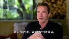 阿诺爆料视频,娱乐圈幕后真相大曝光