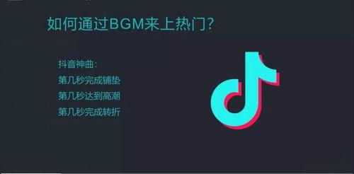 抖音怎样快速爆料视频呢,一键上传,让真相迅速传播 第2张 抖音怎样快速爆料视频呢,一键上传,让真相迅速传播 第2张