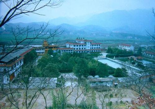 宁强县大安镇新闻爆料,聚焦民生热点，共话发展新篇