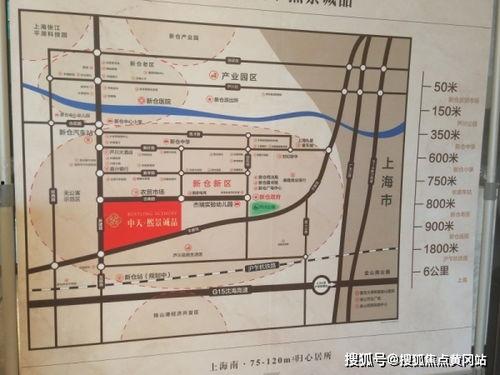 传情小小视频评论爆料是真的吗,真相揭秘