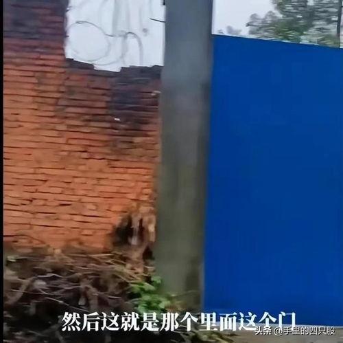 江西失踪最新爆料,神秘线索浮出水面,真相即将揭晓 第2张 江西失踪最新爆料,神秘线索浮出水面,真相即将揭晓 第2张