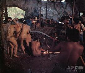 打蛇电影在线观看,惊心动魄的蛇影追踪 第2张 打蛇电影在线观看,惊心动魄的蛇影追踪 第2张