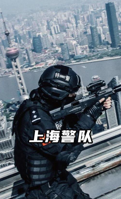 中国特警在线观看,英勇无畏,守护平安的钢铁长城 第3张 中国特警在线观看,英勇无畏,守护平安的钢铁长城 第3张
