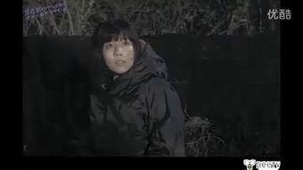 成宫彩叶在线观看,成宫彩叶影视作品在线观看指南