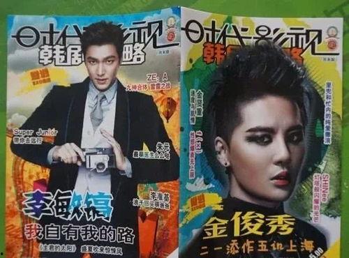 娱乐圈追星吃瓜,揭秘追星背后的疯狂与真相  第2张