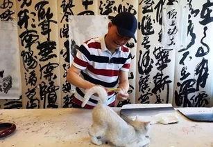 崔永元访谈爆料完整视频,揭秘娱乐圈黑幕与真相