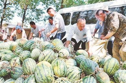 砀山县吃瓜最新事件爆料,揭秘背后惊人真相 第3张 砀山县吃瓜最新事件爆料,揭秘背后惊人真相 第3张