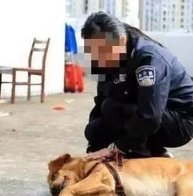 小宝爆料狗贩子视频播放,小宝爆料狗贩子视频曝光  第2张