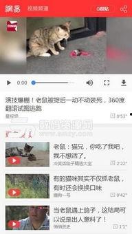 网易新手游爆料视频下载,神秘力作即将亮相，精彩内容抢先看  第2张