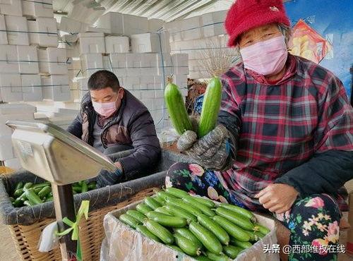 郯城网红吃瓜事件视频,一场网络狂欢背后的真相揭秘  第2张