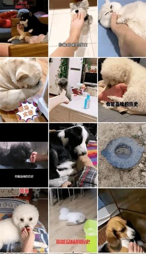 怎样在抖音联系新闻记者爆料,如何高效联系新闻记者 第2张 怎样在抖音联系新闻记者爆料,如何高效联系新闻记者 第2张