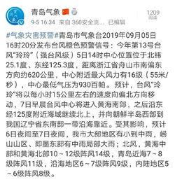 青岛台风爆料最新消息,紧急预警与应对措施全解析  第1张