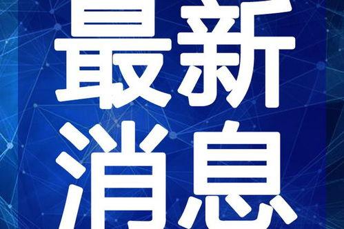 雷州爆料新闻报道最新视频,最新视频揭露惊人真相！
