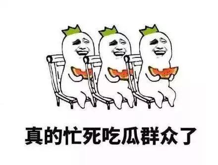 侍从的吃瓜修养免费,揭秘宫廷中的趣味生活 第3张 侍从的吃瓜修养免费,揭秘宫廷中的趣味生活 第3张