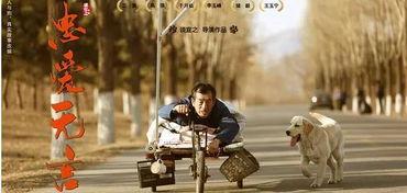 忠爱无言电影在线观看,感人至深的动物情感故事,在线观看感动人心 第2张 忠爱无言电影在线观看,感人至深的动物情感故事,在线观看感动人心 第2张