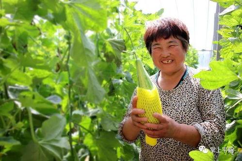 网红农村女孩吃瓜,网红农村女孩的甜蜜生活 第3张 网红农村女孩吃瓜,网红农村女孩的甜蜜生活 第3张