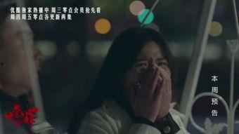 十宗罪免费在线观看,揭秘罪案背后的黑暗世界，免费在线观看，惊悚悬疑等你探索