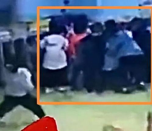 石家庄幼师爆料视频最新,揭秘石家庄幼儿园真实状况