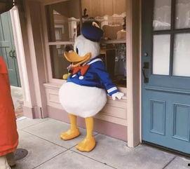 娱乐圈爆料唐老鸭是谁,唐老鸭的真实身份竟是... 第2张 娱乐圈爆料唐老鸭是谁,唐老鸭的真实身份竟是... 第2张