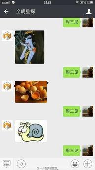 卓伟最新爆料王凯,卓伟最新爆料揭秘娱乐圈真相