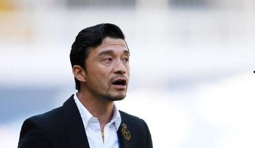 谢晖爆料上港视频大全最新,上港队内幕视频大全深度解析  第2张