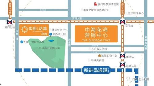 厦门同安新闻爆料,最新爆料揭示社区动态与民生关注