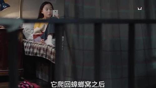 大斌姐姐爆料视频在线看,揭秘幕后真相，带你走进事件核心