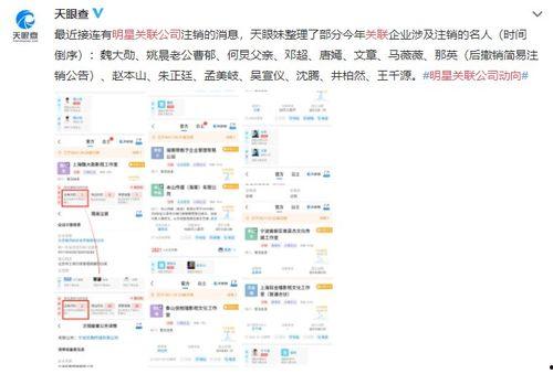 娱乐界偷税爆料,揭秘明星避税黑幕 第3张 娱乐界偷税爆料,揭秘明星避税黑幕 第3张