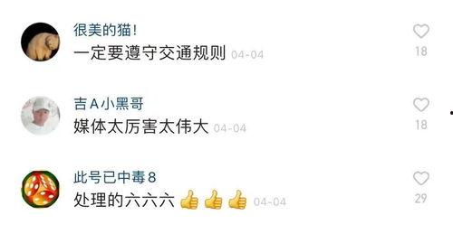 爆料有奖多少钱视频,揭秘视频背后的丰厚奖金! 第3张 爆料有奖多少钱视频,揭秘视频背后的丰厚奖金! 第3张