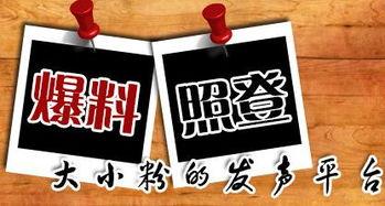 湛江新闻爆料平台,聚焦民生热点，揭示社会真相