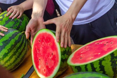 非羽吃瓜免费,揭秘娱乐圈幕后真相，免费畅享娱乐盛宴