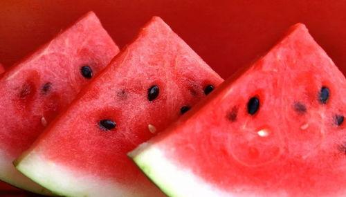 网红吃瓜免费入口微信,微信带你畅享娱乐盛宴 第2张 网红吃瓜免费入口微信,微信带你畅享娱乐盛宴 第2张