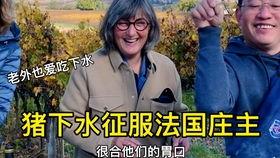 爆料黄琴大叔视频大全集,揭秘民间传奇人物的多面人生