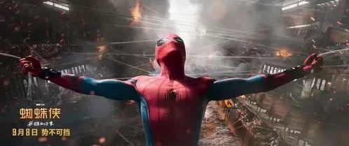 蜘蛛侠归来在线观看,重燃英雄之魂