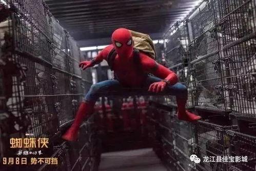 蜘蛛侠归来在线观看,重燃英雄之魂 第2张 蜘蛛侠归来在线观看,重燃英雄之魂 第2张