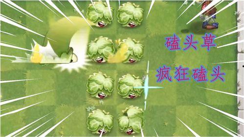 pvz新出的三个植物爆料视频,三大神秘植物震撼登场！