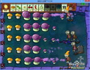 pvz新出的三个植物爆料视频,三大神秘植物震撼登场! 第3张 pvz新出的三个植物爆料视频,三大神秘植物震撼登场! 第3张