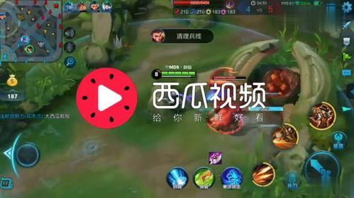 娱乐吃瓜视频背景图片大全,揭秘热门视频背景图片大盘点  第3张