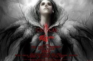 爵迹完整版在线观看,巅峰对决，命运之巅的荣耀征程