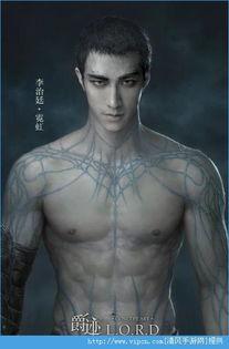 爵迹完整版在线观看,巅峰对决，命运之巅的荣耀征程  第2张