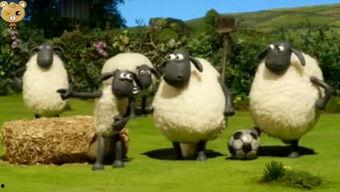 小羊返场爆料视频大全