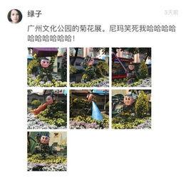 新闻晨报微博爆料,重大新闻事件引发社会关注