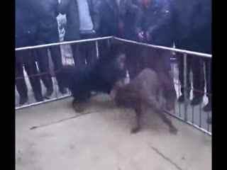 比特爆料视频大全最新  第3张