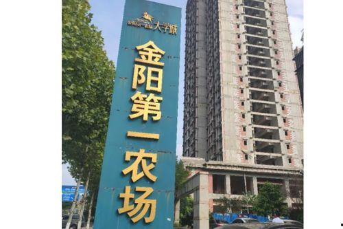 重庆烂尾楼爆料最新消息,揭秘多项目停工真相与影响 第1张 重庆烂尾楼爆料最新消息,揭秘多项目停工真相与影响 第1张