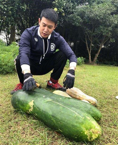 大瓜怎么爆料才好吃视频,如何让“好吃”成为你的标签 第2张 大瓜怎么爆料才好吃视频,如何让“好吃”成为你的标签 第2张