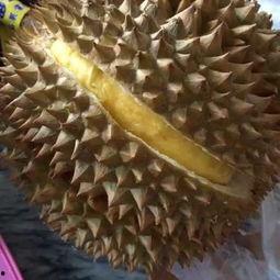 大瓜怎么爆料才好吃视频,如何让“好吃”成为你的标签 第3张 大瓜怎么爆料才好吃视频,如何让“好吃”成为你的标签 第3张