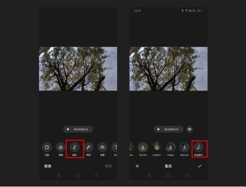 爆料视频用什么配音好听  第2张