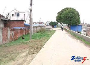 网友爆料猪场视频,揭开养殖业的黑暗面  第2张